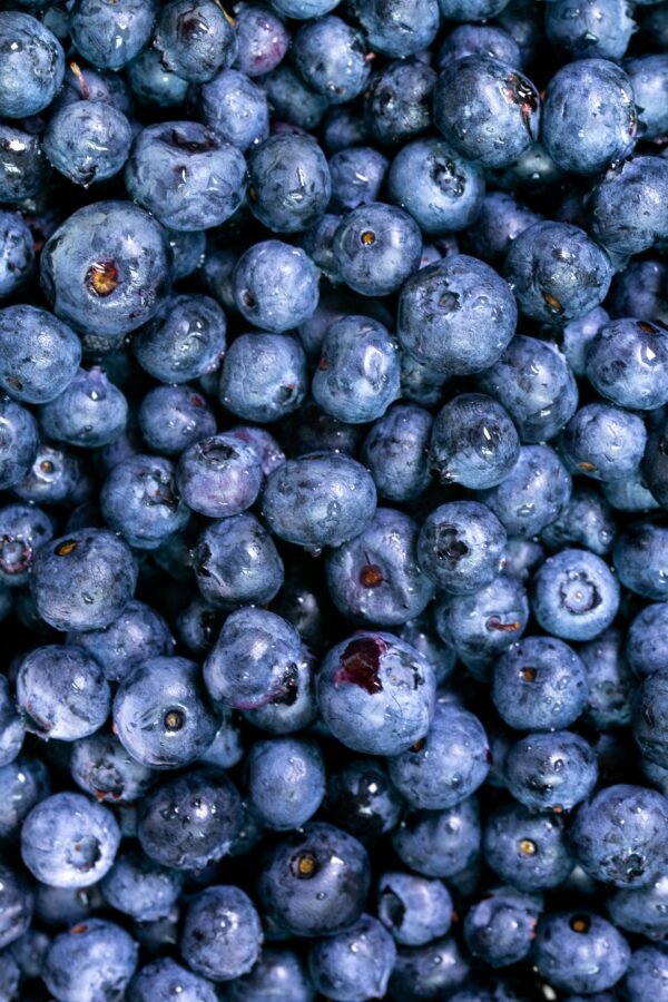 Blueberries, 18 oz.