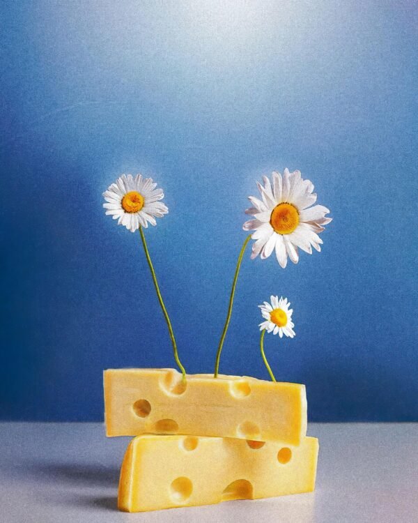 SWISS CHEESE SLICED 1 (lb) avg weight - Image 3