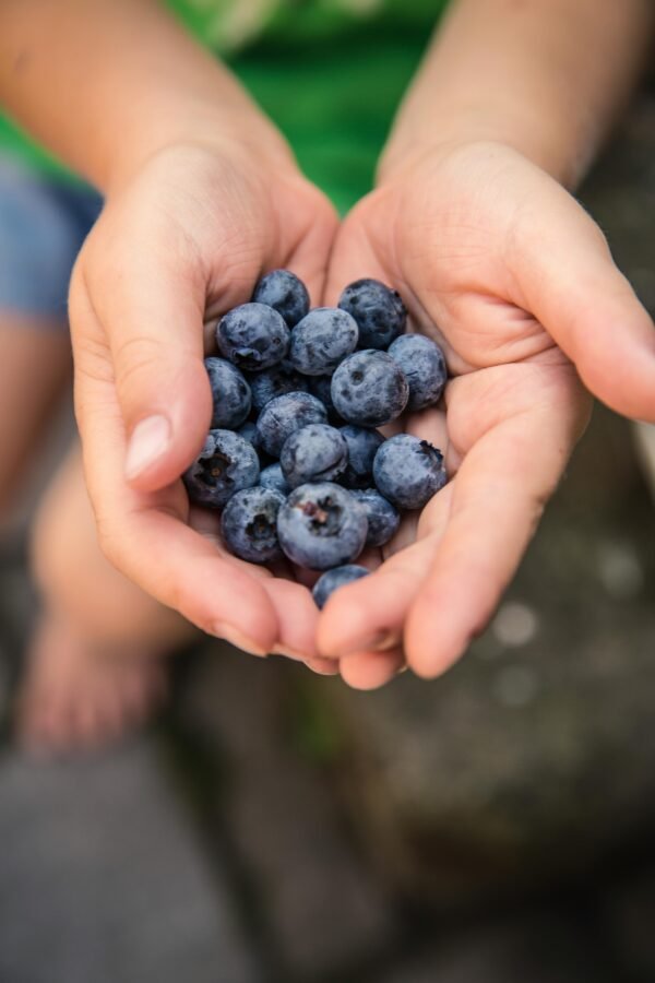 Blueberries, 18 oz. - Image 2
